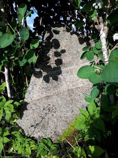 Hautatunnus: GK A 5   197H