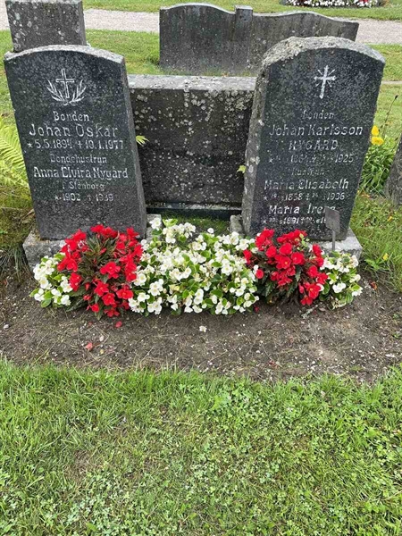 Gravnummer: N 4 4   511