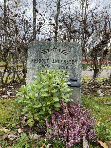 Grave number: 1 29     12