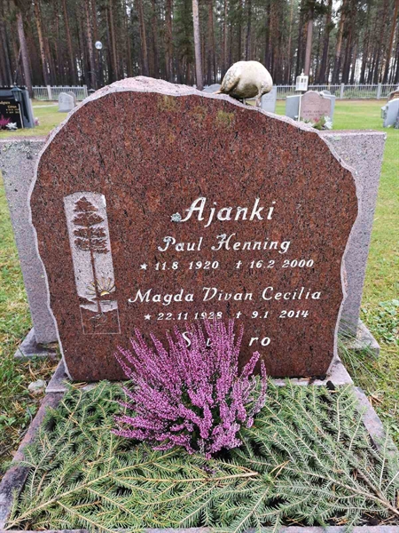 Hautatunnus: VLM 13    28-29