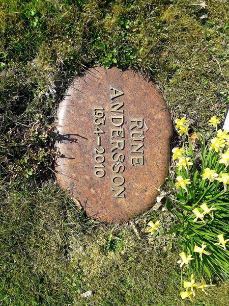 Grave number: TÖ 5   301