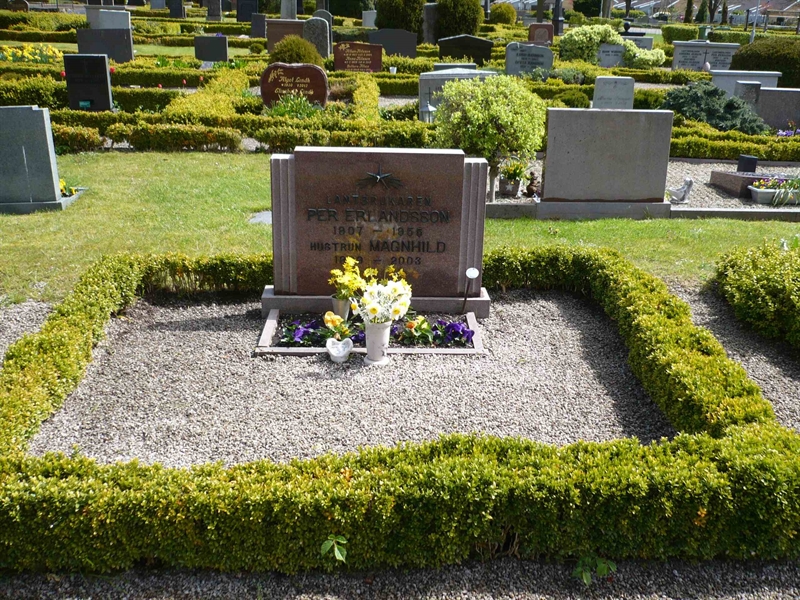 Grave number: 1 9     8