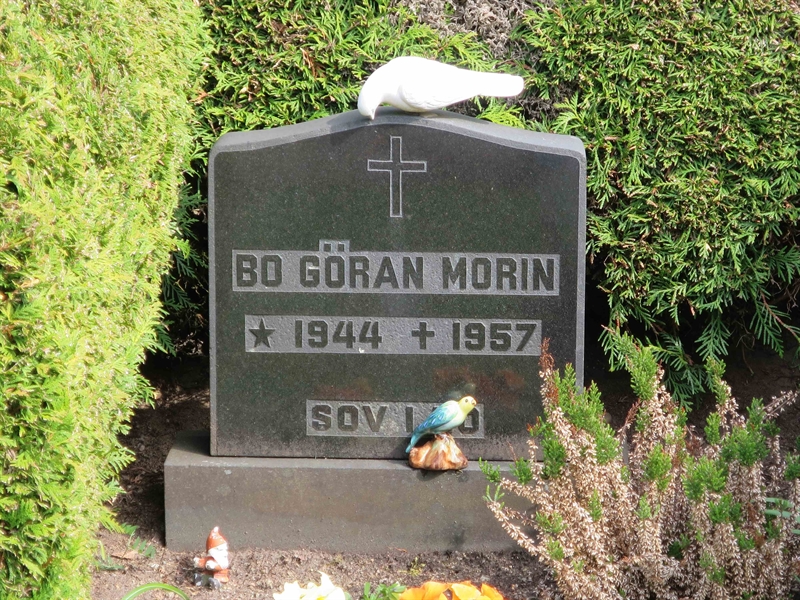 Grave number: HÖB 48    18