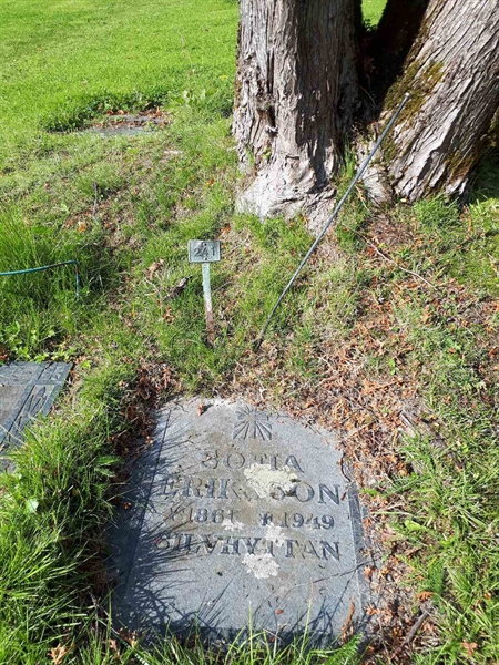 Gravnummer: NK A A   241