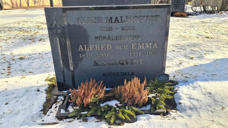 Grave number: M G 01 133-134