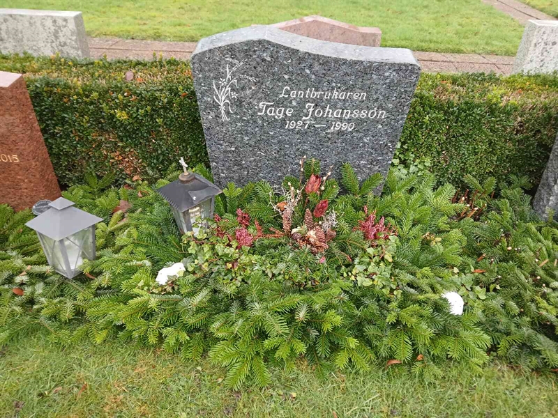 Hautatunnus: Si U    51