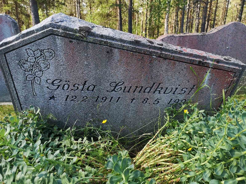 Gravnummer: PK   464