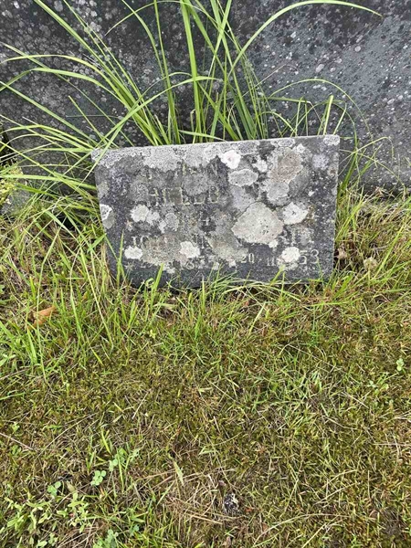 Hautatunnus: N 4 3   449