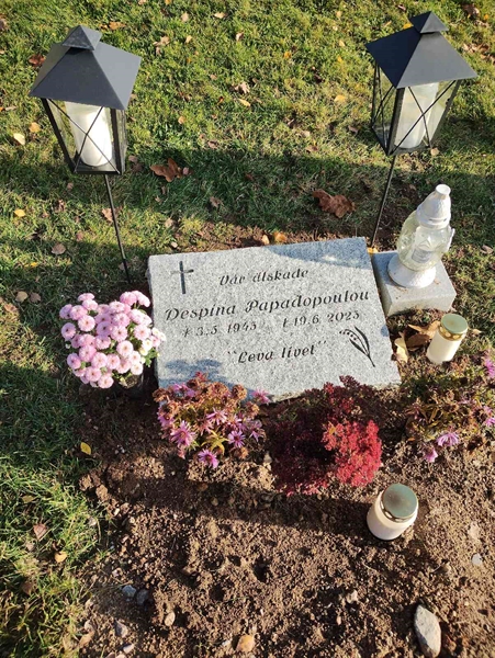 Grave number: 1 D   206