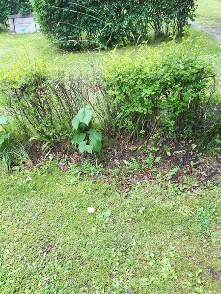 Grave number: GK F 5   590