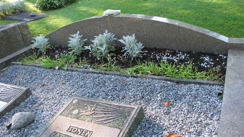 Grave number: HG MÅSEN   479, 480