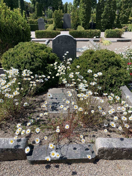 Grave number: NK V   125