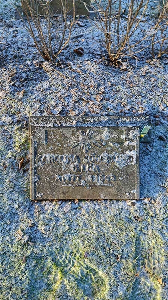 Grave number: 6 05    128