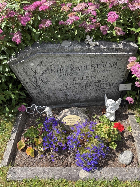 Grave number: TUR  1619