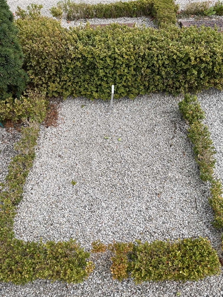 Grave number: VK I:u    39