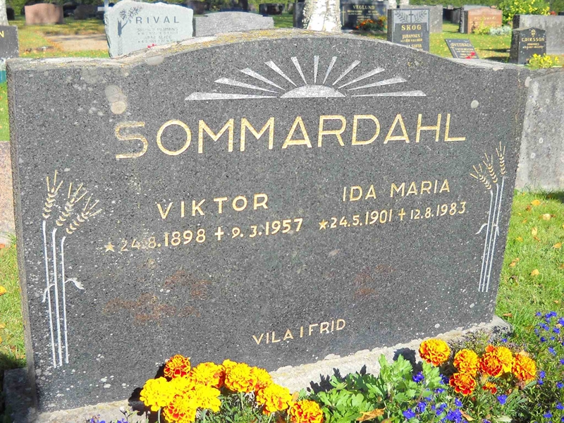 Grave number: 3 MB 18 22-23