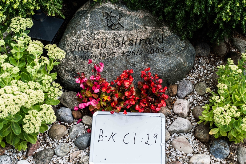 Hautatunnus: Bkl I C 29