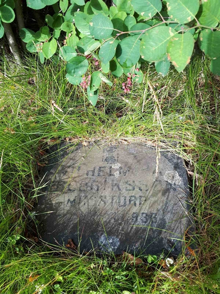 Grave number: GK A 5   206H