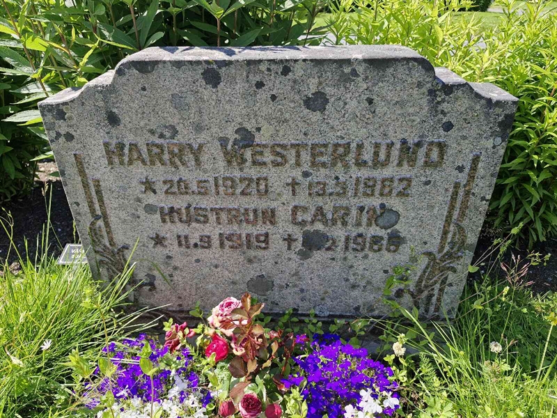 Hautatunnus: 1 ARVED 29