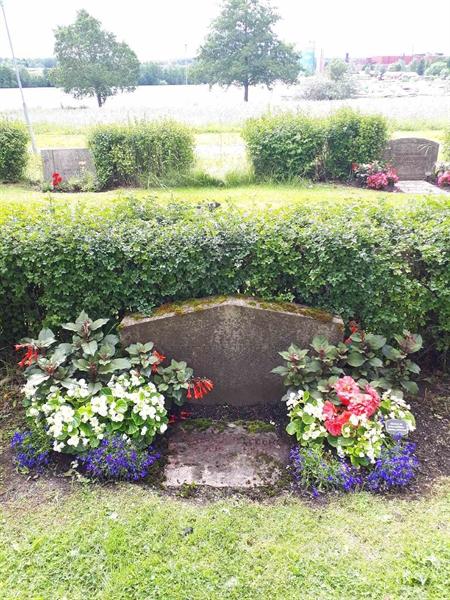 Gravnummer: GK F 5   624