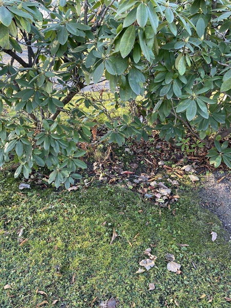 Gravnummer: GK A 3   626