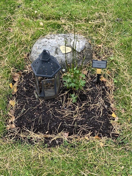 Hautatunnus: 2 C   438