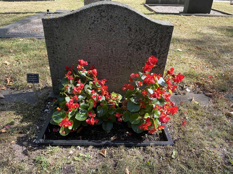 Grave number: Ö 04    20.A