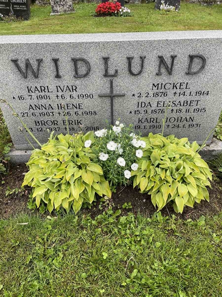 Hautatunnus: N 4 4   648