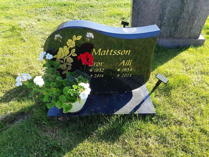 Hautatunnus: Fr 8   145-146