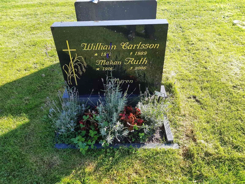 Hautatunnus: Fr 8   290-291