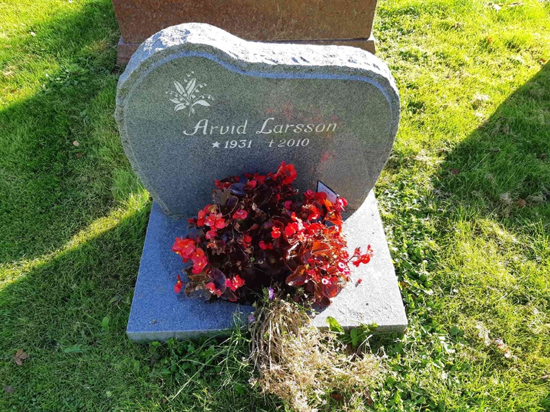 Hautatunnus: Fr 8   138-139