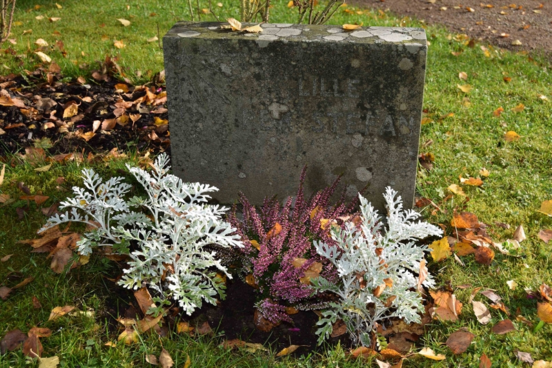 Grave number: 01 18    31