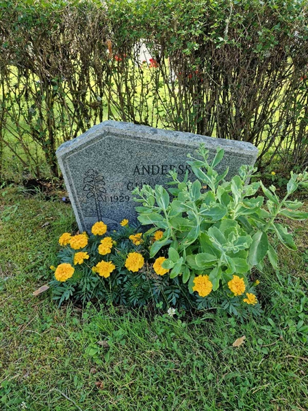 Grave number: 1 KV.8   187