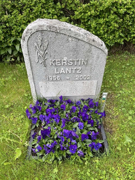 Grave number: DU ND    30, 31