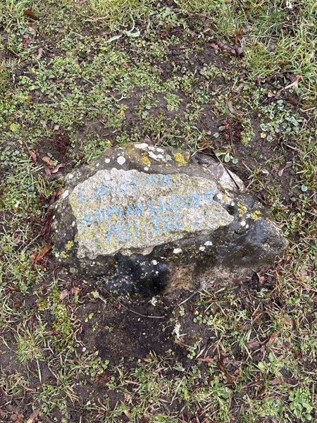 Hautatunnus: Ar D 71