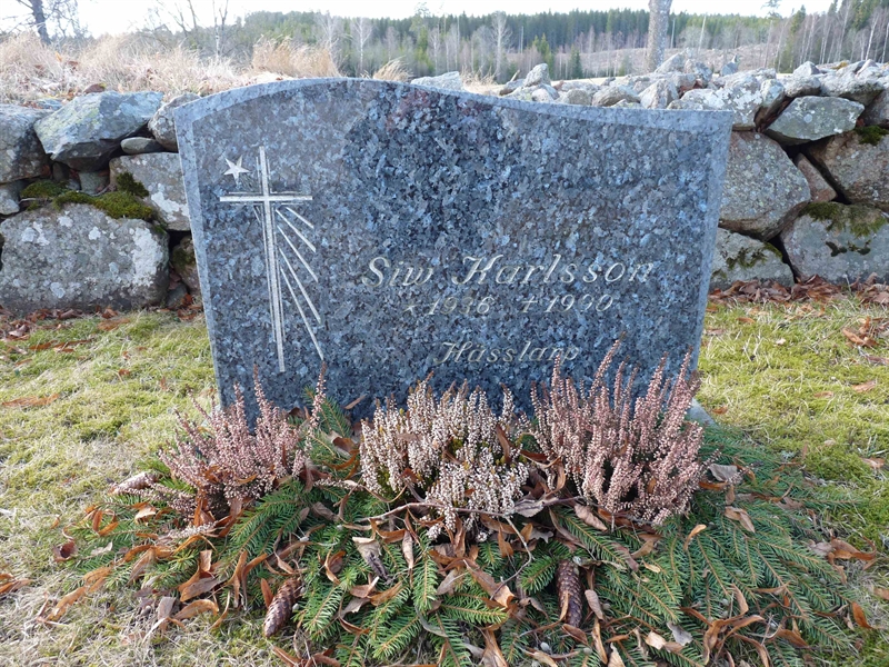 Grave number: SV 8   32