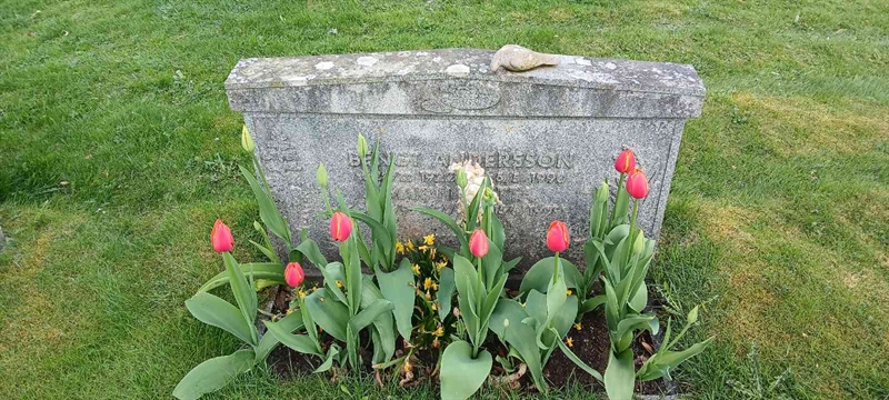 Grave number: 3 Nya L    23-24
