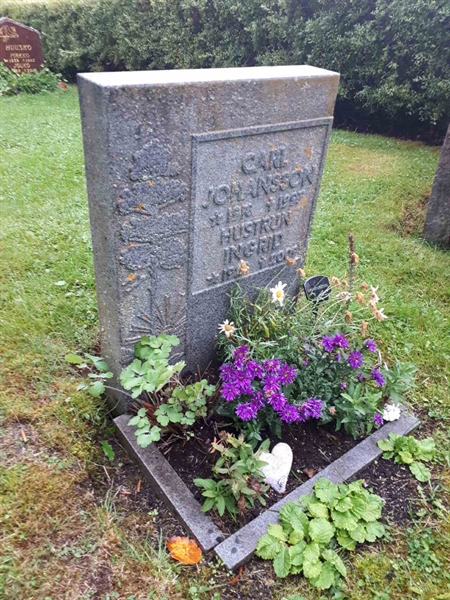 Hautatunnus: NK F D   231