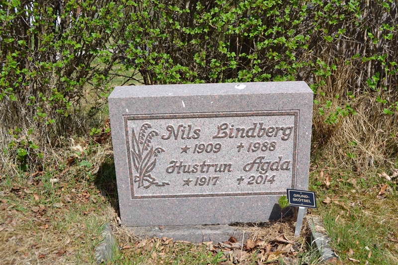 Grave number: 1 M   813C
