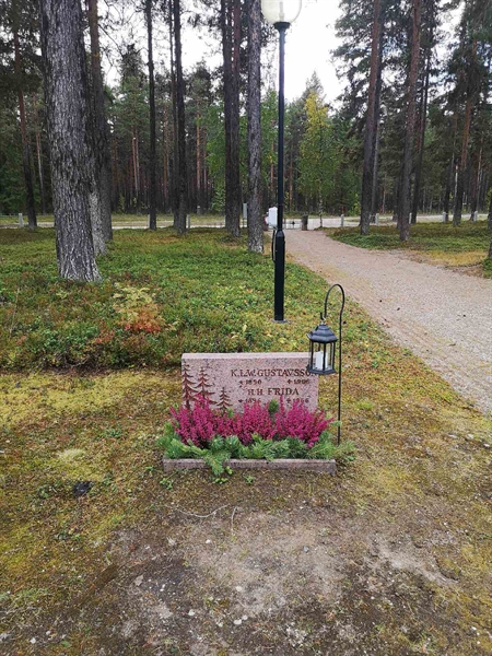 Hautatunnus: VLM 06    17:1