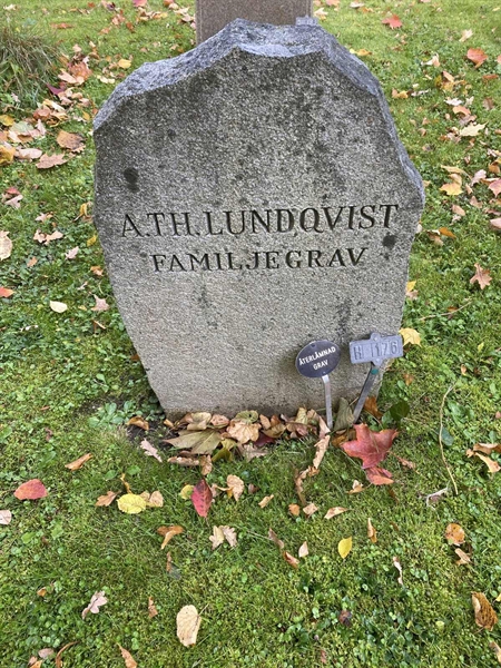 Hautatunnus: 1 H   176