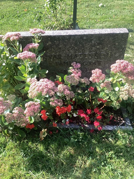 Grave number: HVRÖ I   305