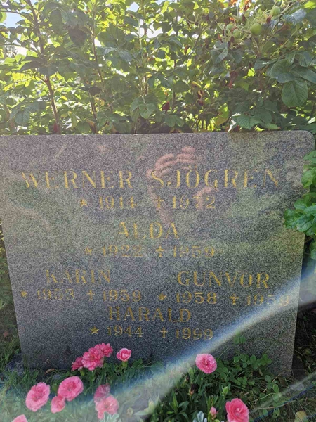 Grave number: 1 18    86