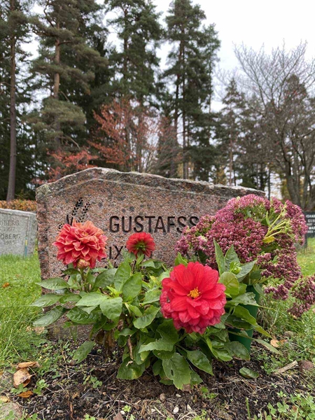 Grave number: 1 24    210