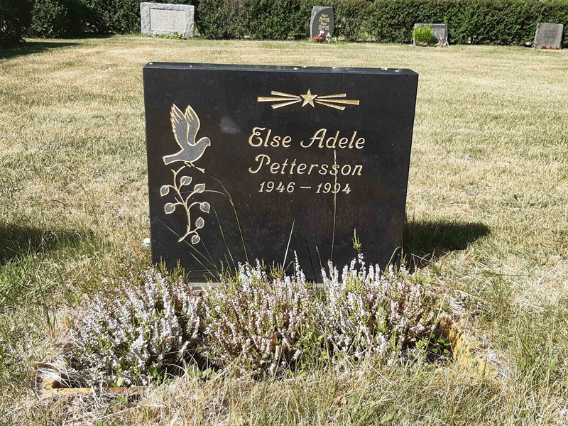 Grave number: VI 02   653