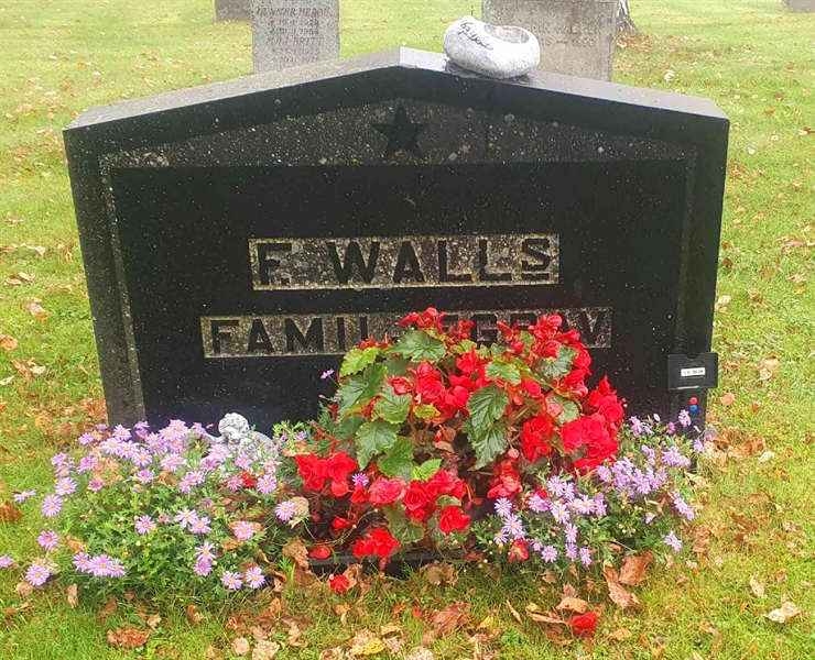 Gravnummer: 1 D    36-38