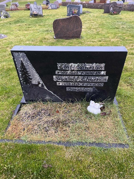 Grave number: Ärt 60 29     7+8