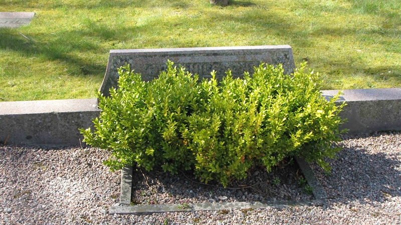Grave number: FK SYREN   190, 191