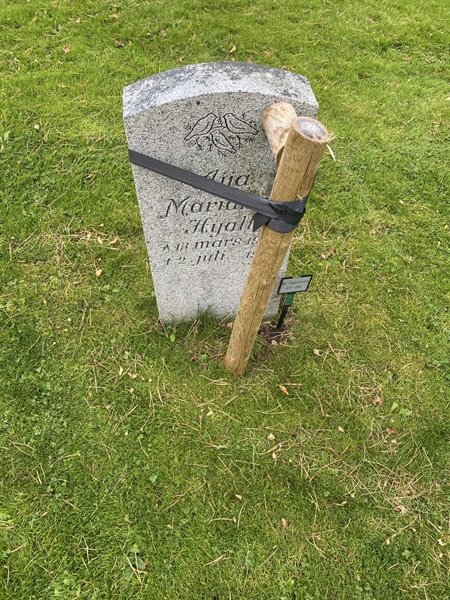 Hautatunnus: 2 C   617-618