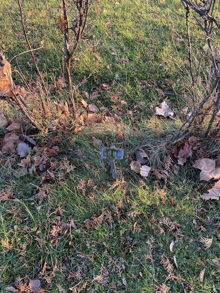 Gravnummer: GK U 2    46